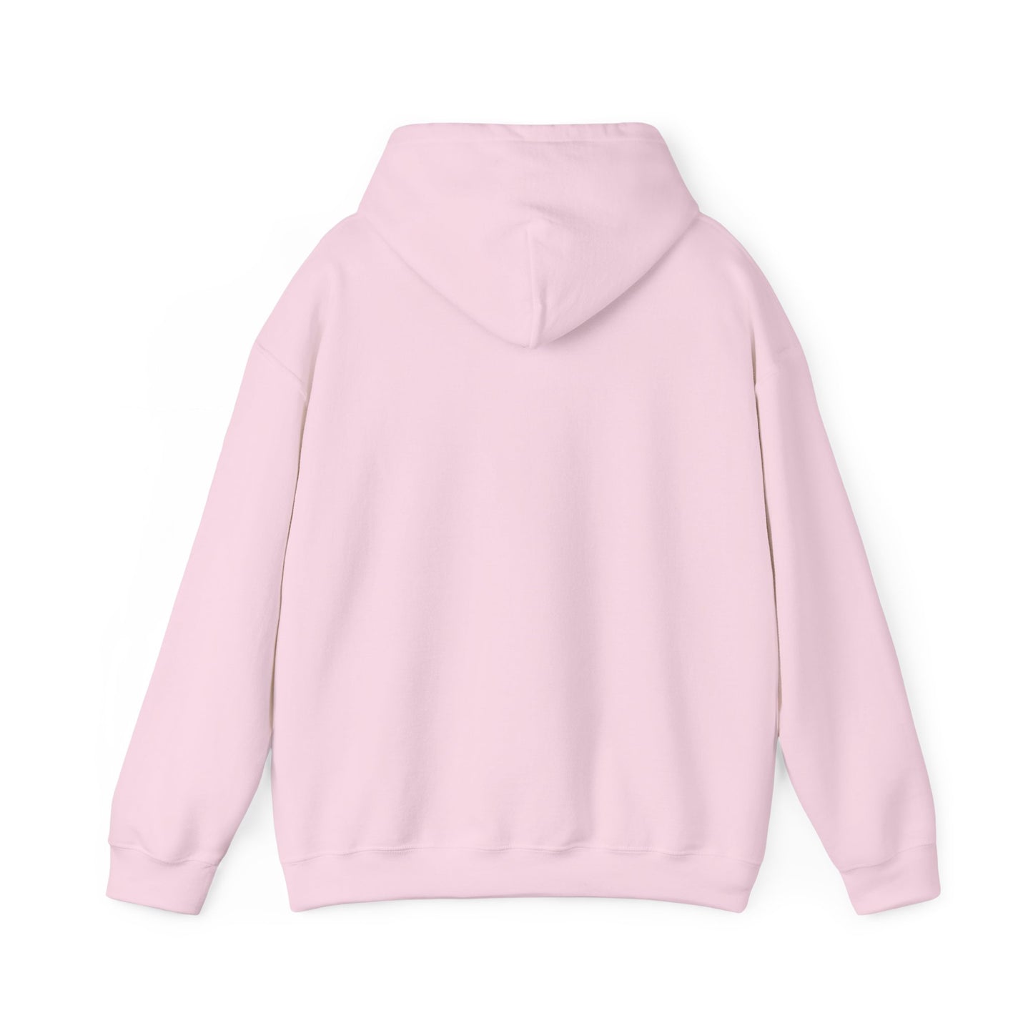 I will literally shit on your face Hooded Sweatshirt