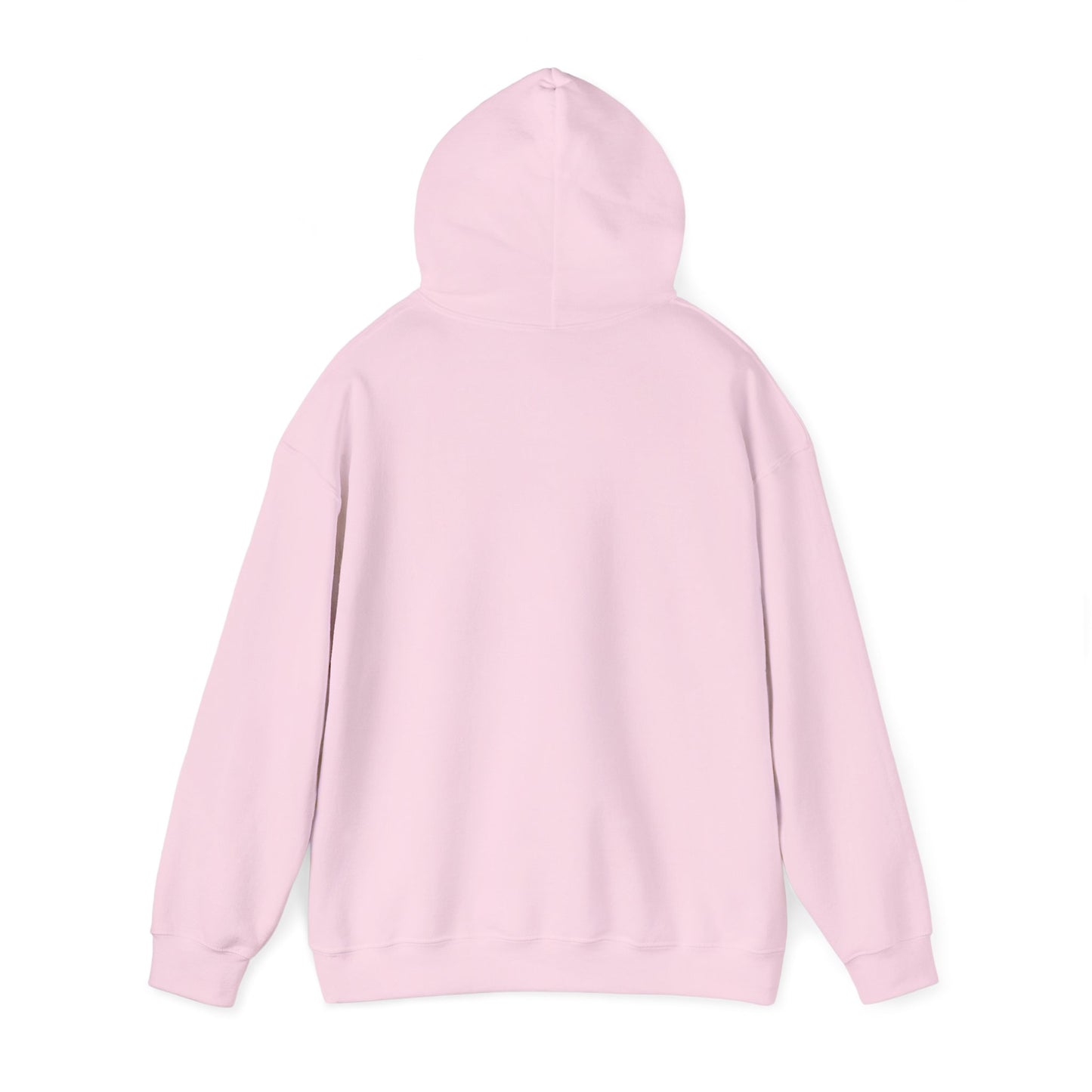 I will literally shit on your face Hooded Sweatshirt
